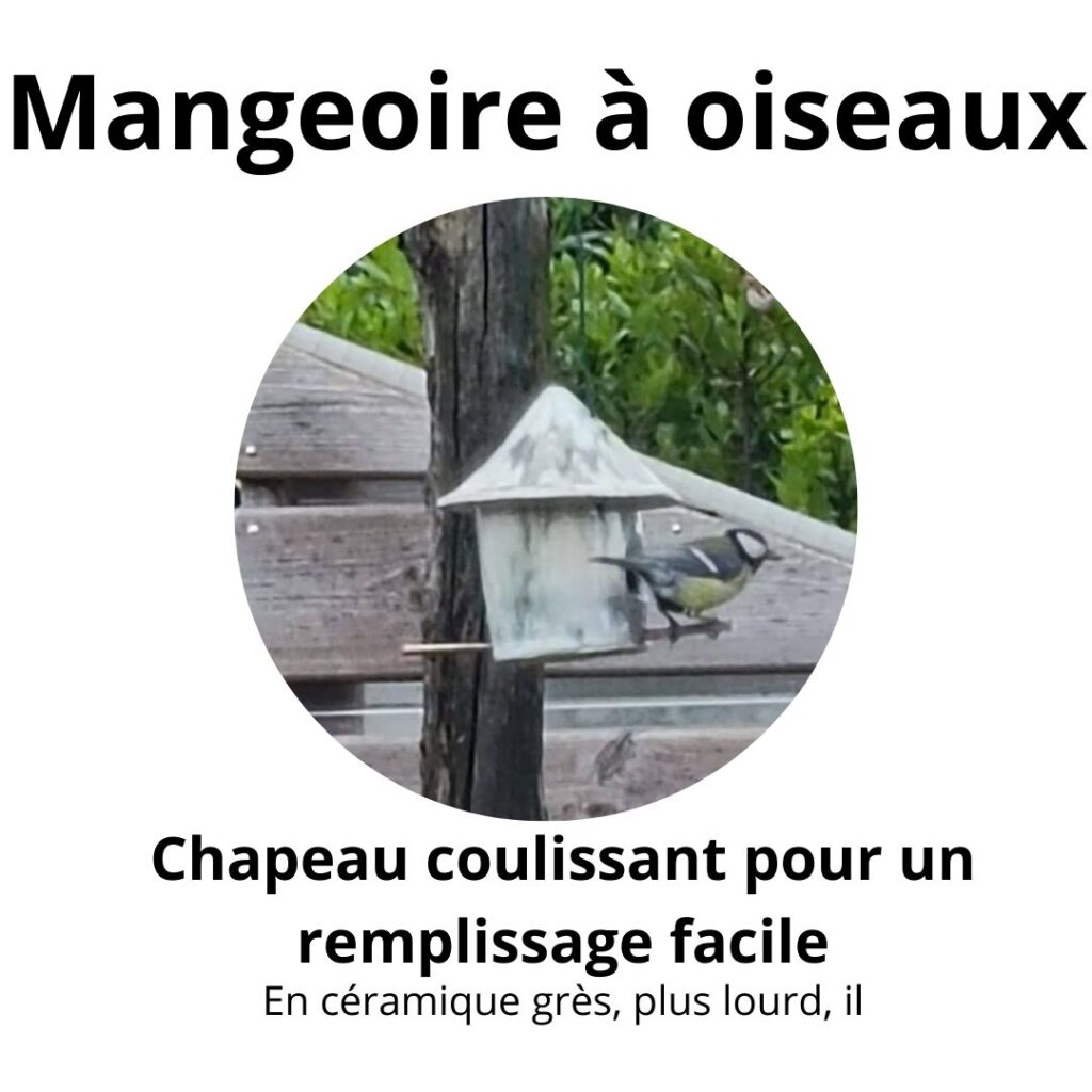 Création originale de mangeoire à oiseau en céramique Éva P. 